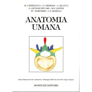 ANATOMIA UMANA